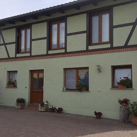 Ferienhaus Am Stadtpark Ballenstedt Exterior photo